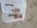 사랑초 구근