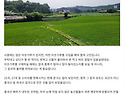 이제 초여름날씨! 시원달달..