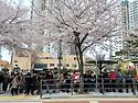 희년맞이 3차 절두산 도보 성지순례-1