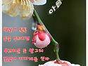 4월 아침편지
