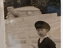 정치 선배들에게 보내는 ..