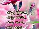 아름다운 황혼을 위하여