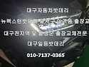 대구올뉴렉스턴자동차밧데..