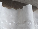 11a. 아사면 레이스(롤)