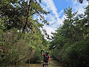 biking tour 반월임도 상..