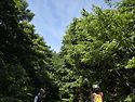 biking tour 편백4종se..