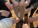 2024.12.08. 12월 녹색..