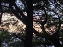도솔산 도솔봉 일몰