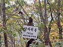 2026년9월13일(일) 담바..