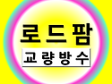 도막식 교량 교면방수의 중요성과 복합식 교량방수 적용 기술 분석 - 전국초특가