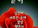 대진가수님 과사랑님불금에