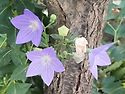 올해의 절반을 넘은 뜨거운..