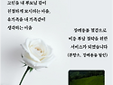  광주광역시 장례 비용