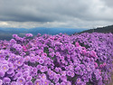 거창 감악산 ~창포원