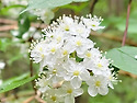 소백산