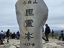 야생화의 천국 소백산