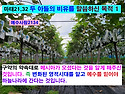 2023.10.01.주일 
..