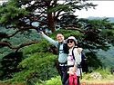 250803_남원 와운천년송_..