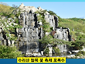 4월23일 수리산 철쭉꽃 축제 번개에서 ..
