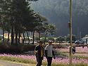 26.10.17괴산-산막이옛길(데이비드대장..