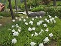 서울 대공원 걷기 사진.