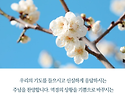형통한삶