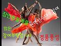 사즐모 중앙댄포 2월9일 둘째주 일요일..