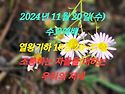 2024년 11월 20일(수) 수요예배 열왕기..