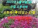2025년 5월 4일(일) 주일 오후예배 요..