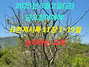 2025년 5월 2일(금) 금요철야예배 요한..
