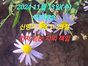 2024년 11월 13일(수) 새벽예배 신명기..