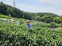 운도네 농장
