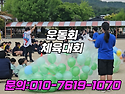 세종 대전 옥천 공주 초등..