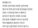 자색마.단오마 종자용판매