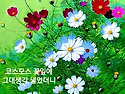 불렁뮤직 카페 206회정모