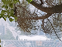 쇠미산