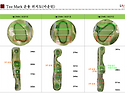 Tee Mark 운용 위치도 공지