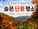 제90차11월3일 경기도 광주시 도천면 화담숲 단풍