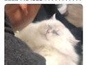 아빠가 뽀뽀하려고 하니까..