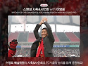 일요일 FC서울 강원전 이..