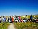 2026.3.14 Carrizo Plain