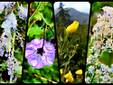 2025.4.26 West fork trail