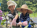250528_꼬마농부학교_지주대세우기