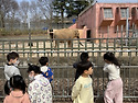 230308_바바_호퍼_동물원나들이-02