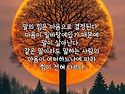 내일을 살아가는 지혜
