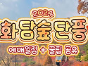 2024 화담숲 단풍시기 예약 팁 총정리