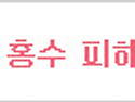 10년 만에 다시 덮친 비극