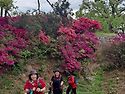 설봉산