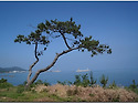 동해 바다 암자