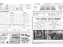 사순 제4주일 주보